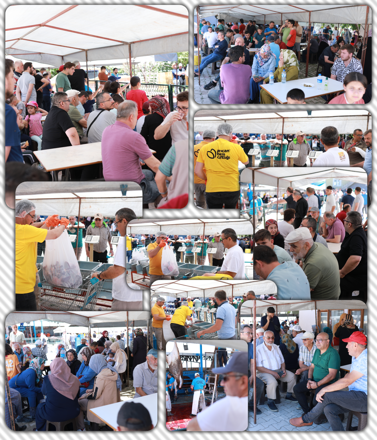 Arıcan Besi Çiftliği