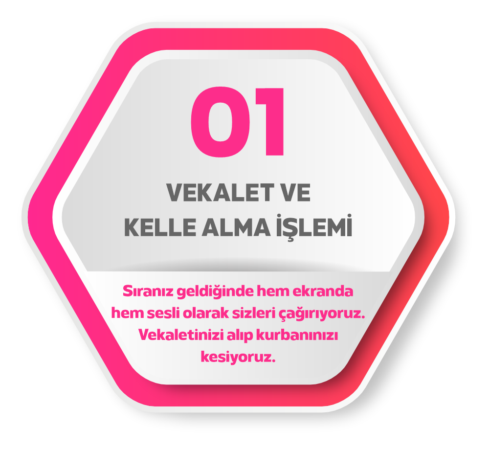 Arıcan Kurbanlık Süreci 1